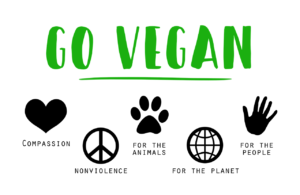 Veganism - Vijay Kolinjivadi