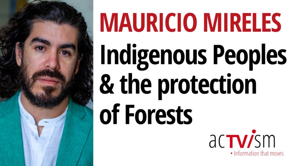 Why We Need Indigenous Peoples to Save Our Forests
