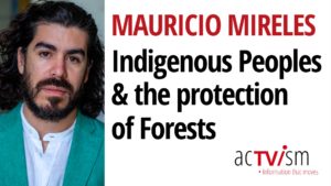 Why We Need Indigenous Peoples to Save Our Forests