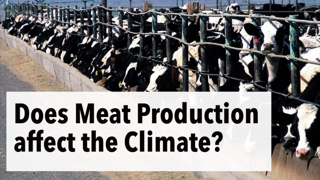 How Meat Production & Consumption affect the Climate | Interview with Climate Scientist Atul Jain