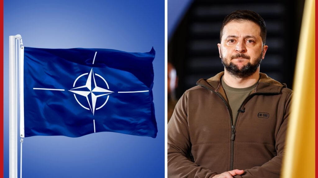 Die Wahrheit zur ''Ablehnung'' der NATO-Mitgliedschaft der Ukraine mit Michael Tracey