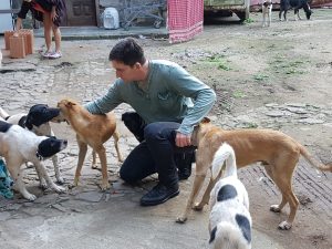 Glenn Greenwalds Hundeheim, das von Obdachlosen betrieben wird